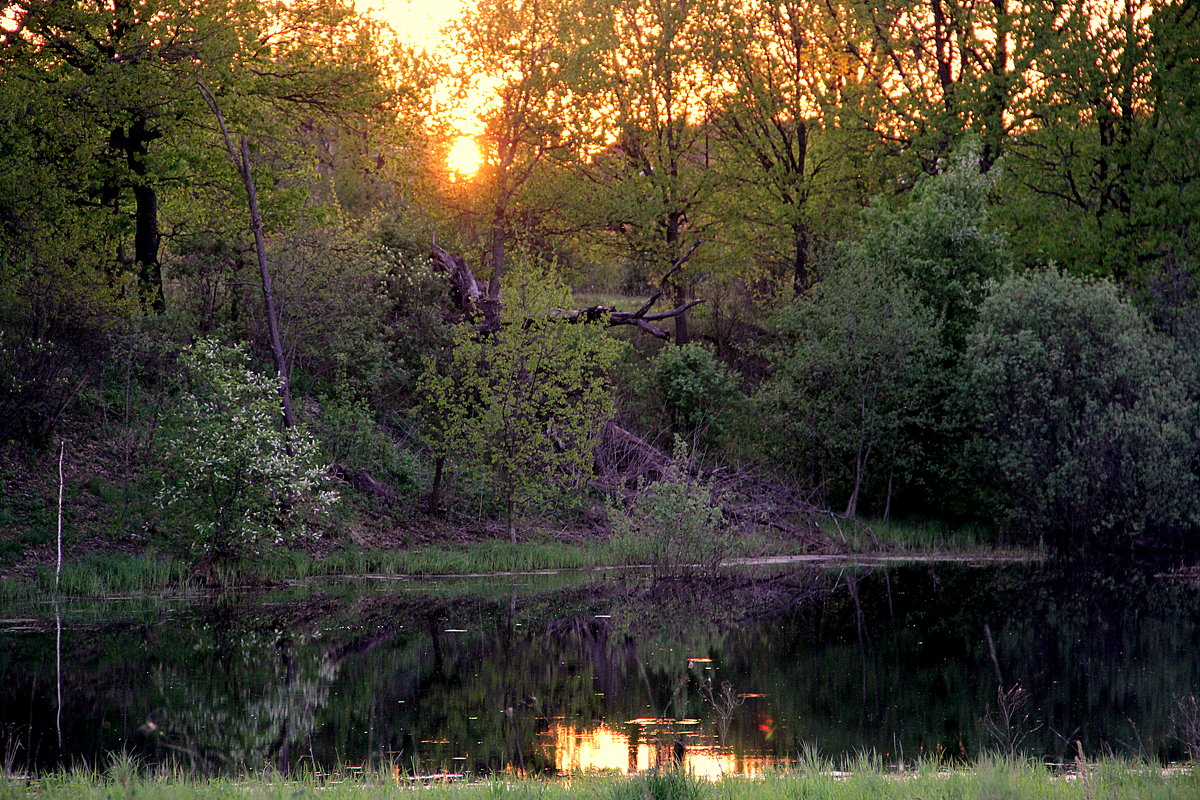 *** - marina-rosinka2 