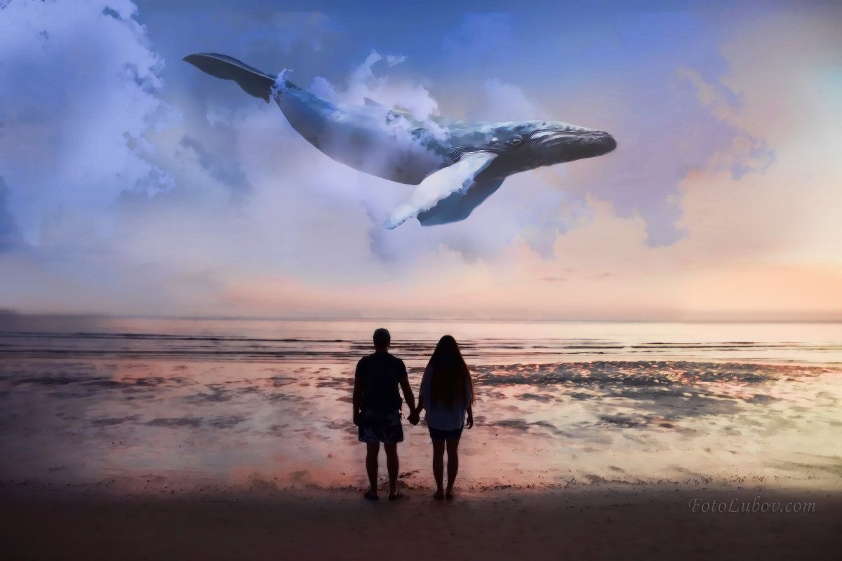 Небесный кит - Любовь М