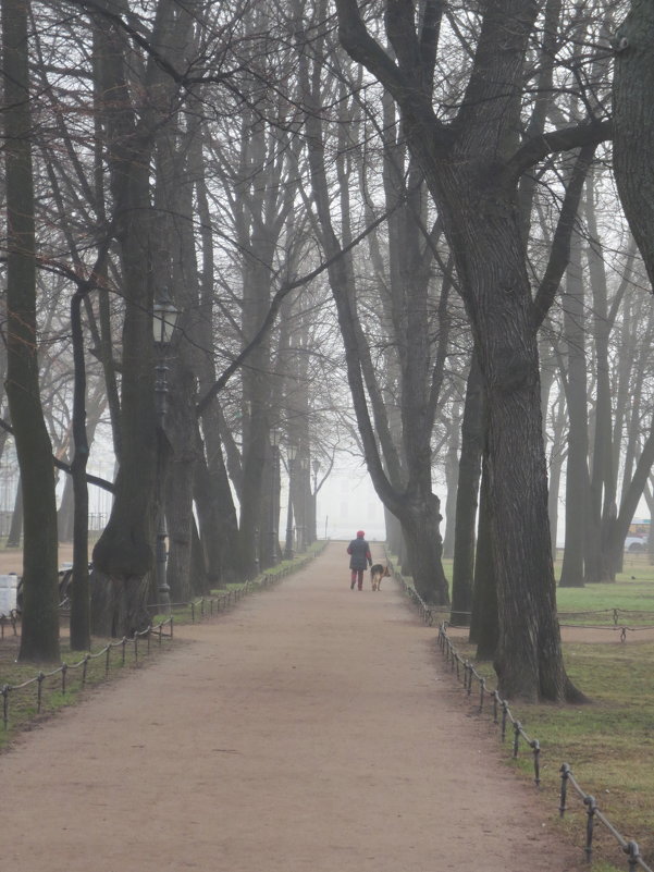туманным утром в Александровском саду - Елена 