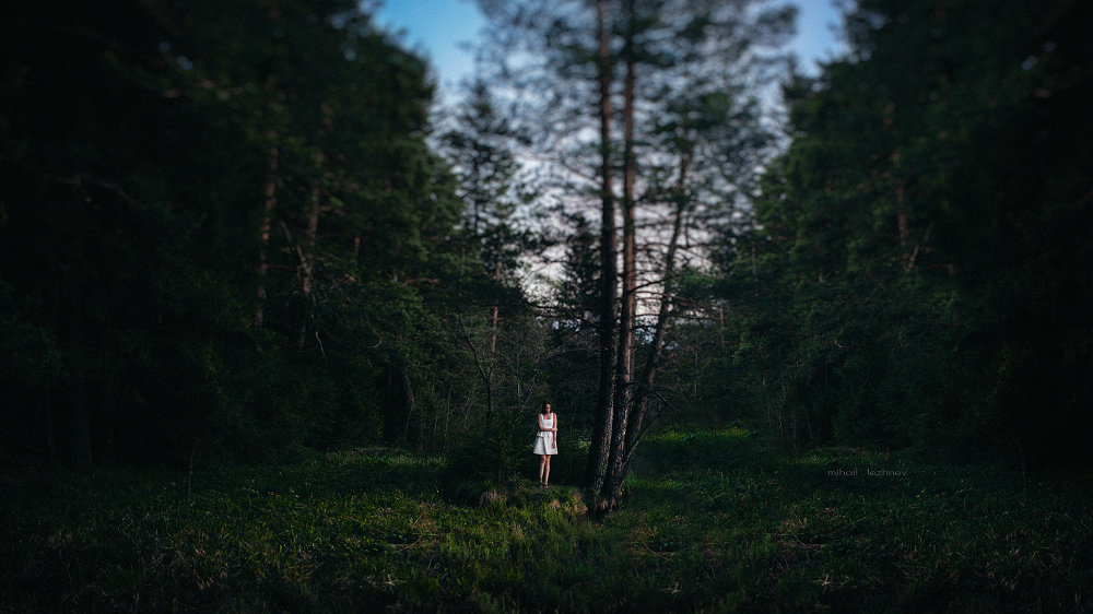 Сказочный лес - Михаил Лежнёв