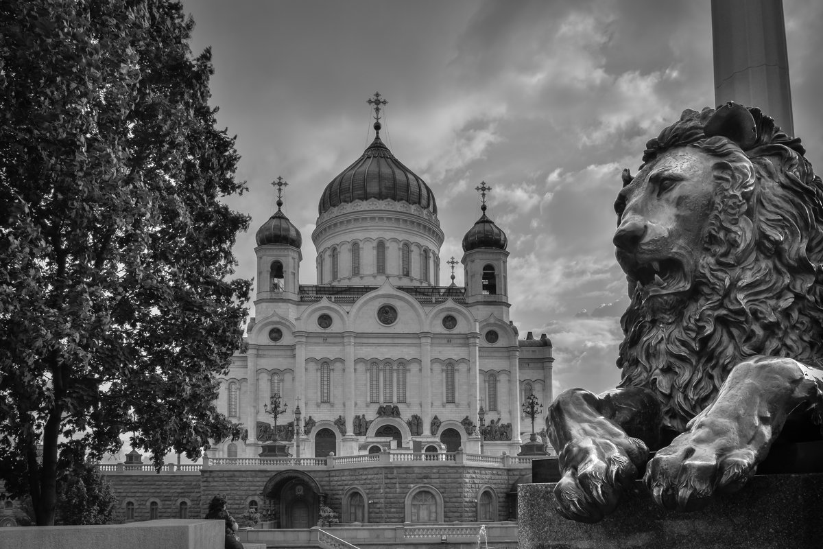 Вид на Храм Христа Спасителя - Kasatkin Vladislav