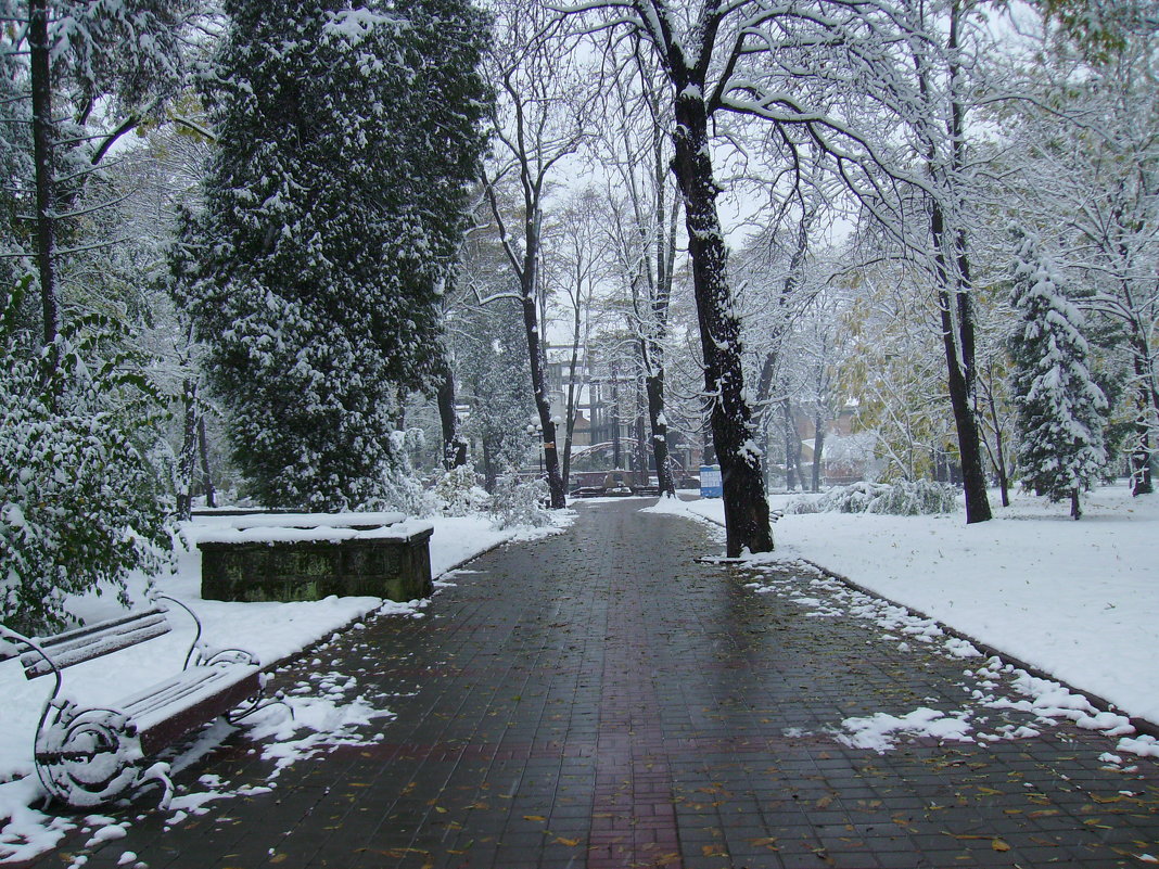 Зимняя  погода  в  Ивано - Франковске - Андрей  Васильевич Коляскин