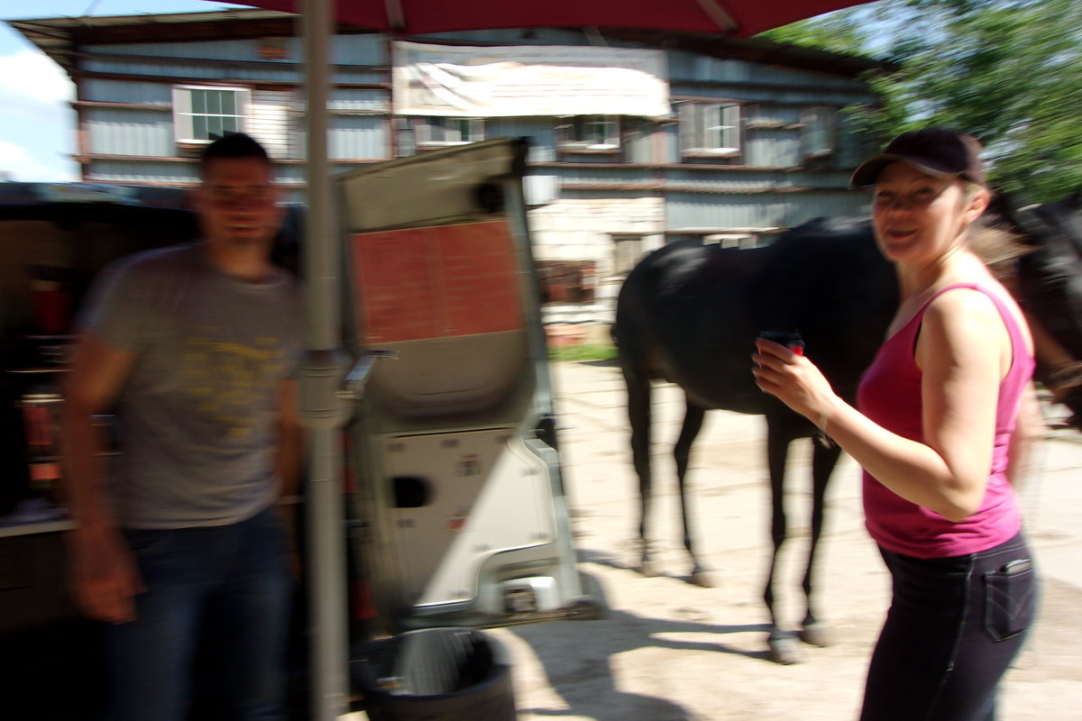 лошадь в очереди за кофе - елена 