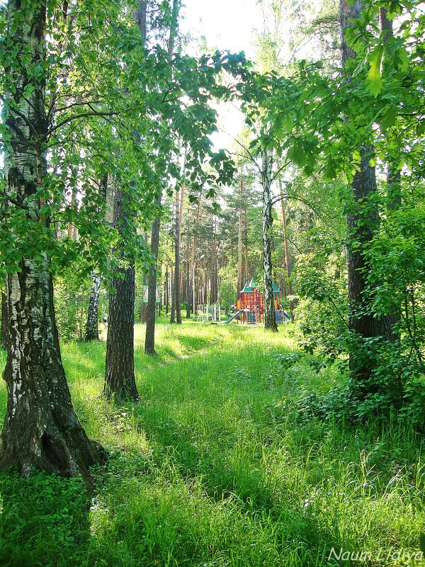 Весенний парк - Лидия (naum.lidiya)