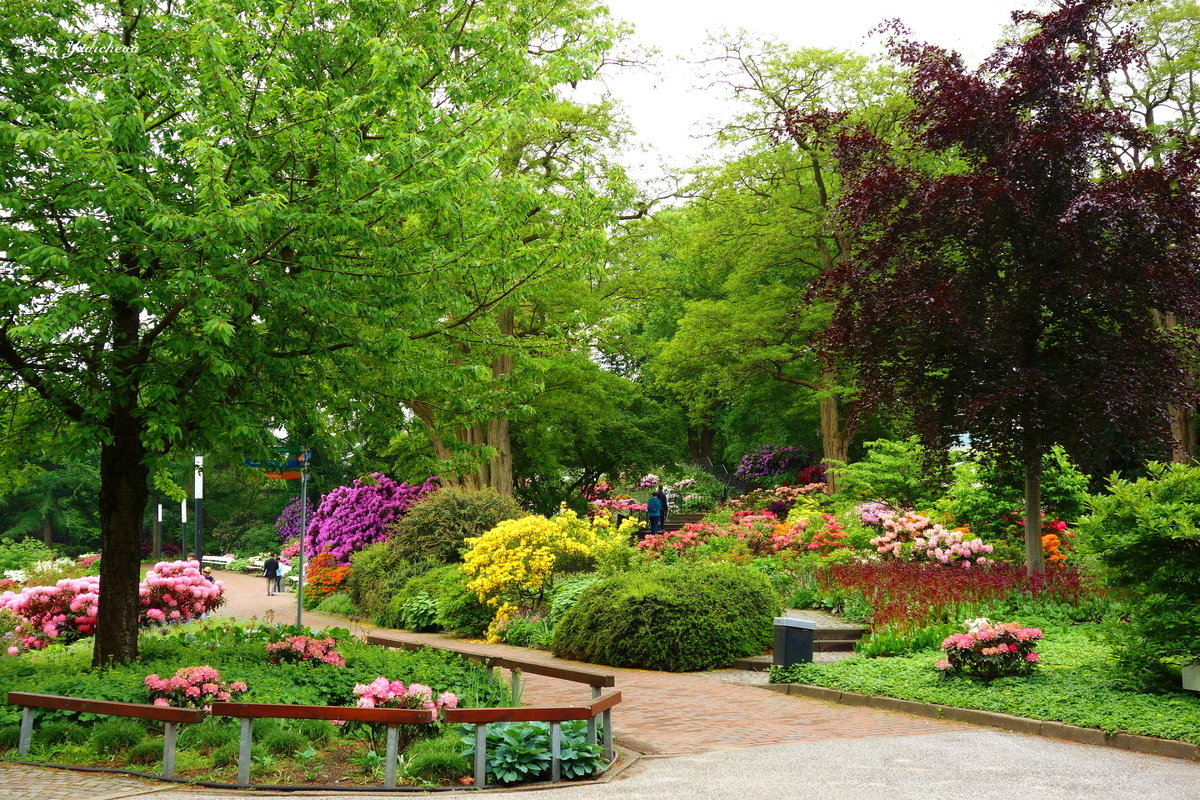 Hamburg. Planten un Blomen - Nina Yudicheva