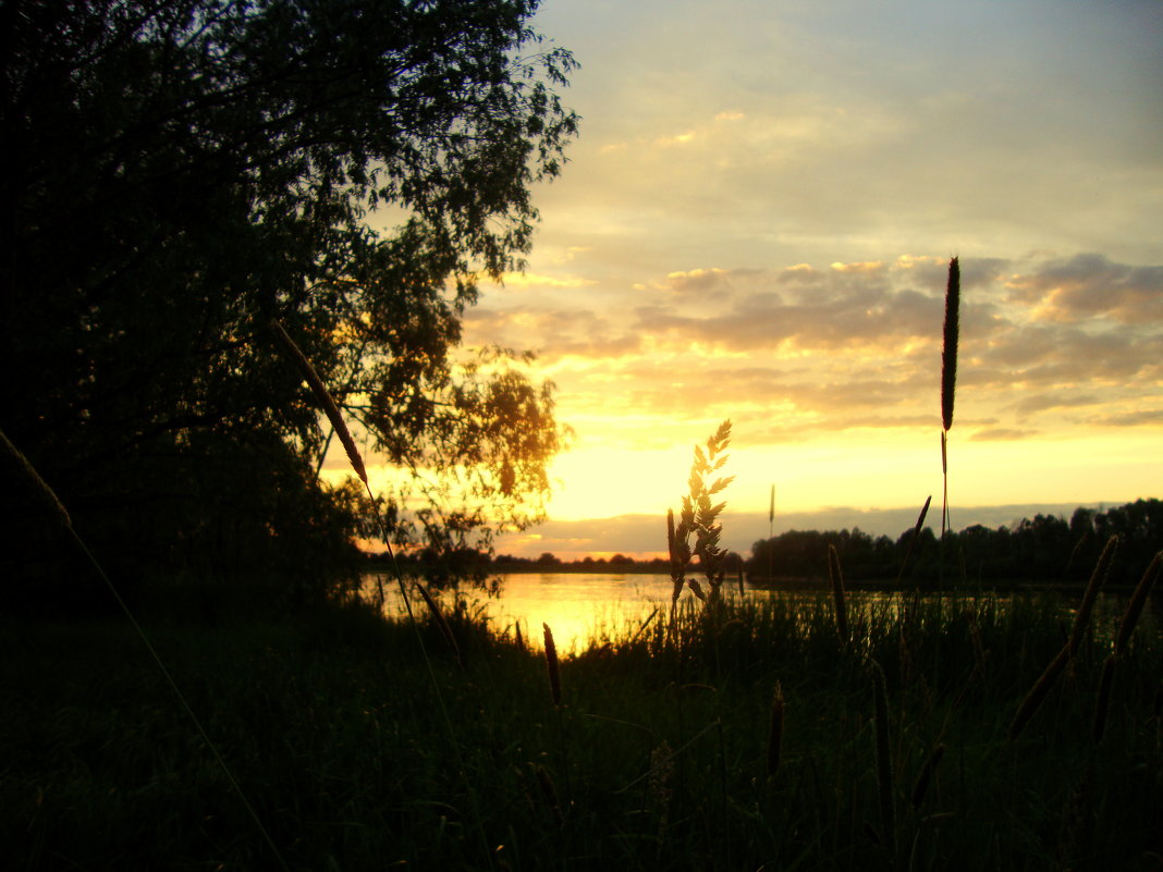 Закат - Александр 