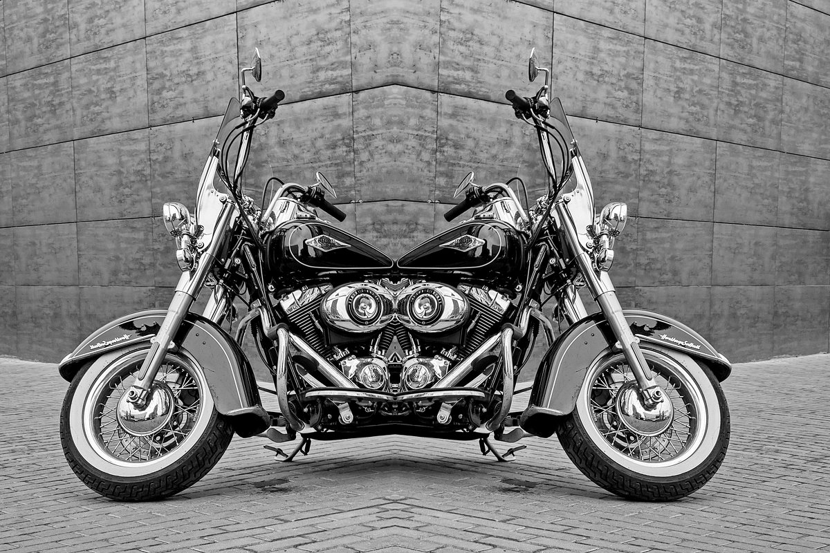 Новая модель Harley-Davidson  Push - pull. - Анатолий. Chesnavik.