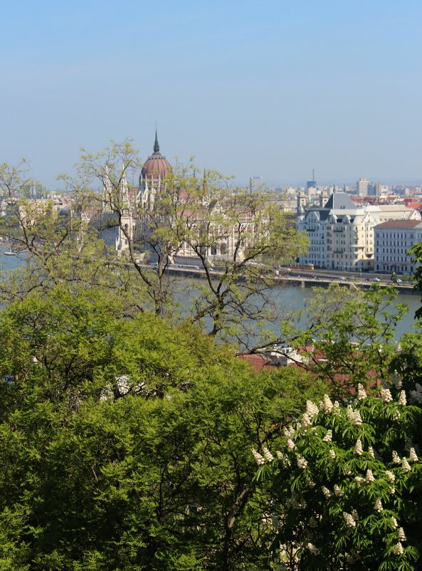 Весна в Будапеште - Оксана Яремчук