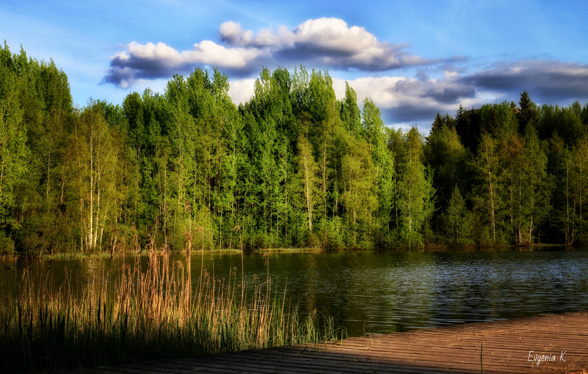 Финское озеро - Евгения К