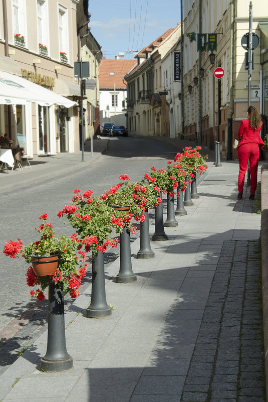 In red :) - Kliwo 