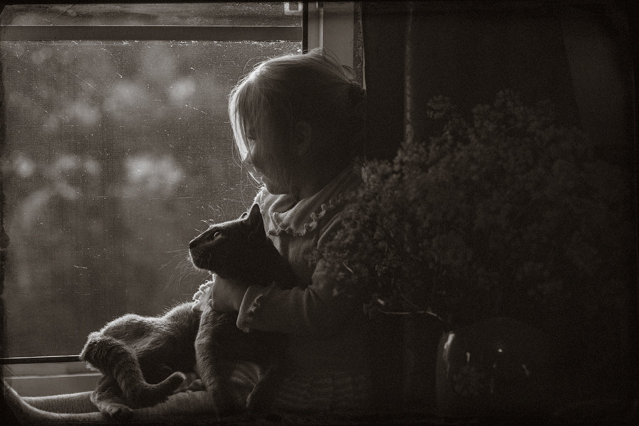 На окошке с кошкой - Наташа Морозова
