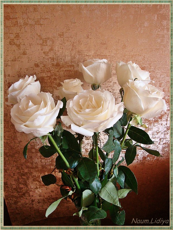 Белые розы для друзей - Лидия (naum.lidiya)