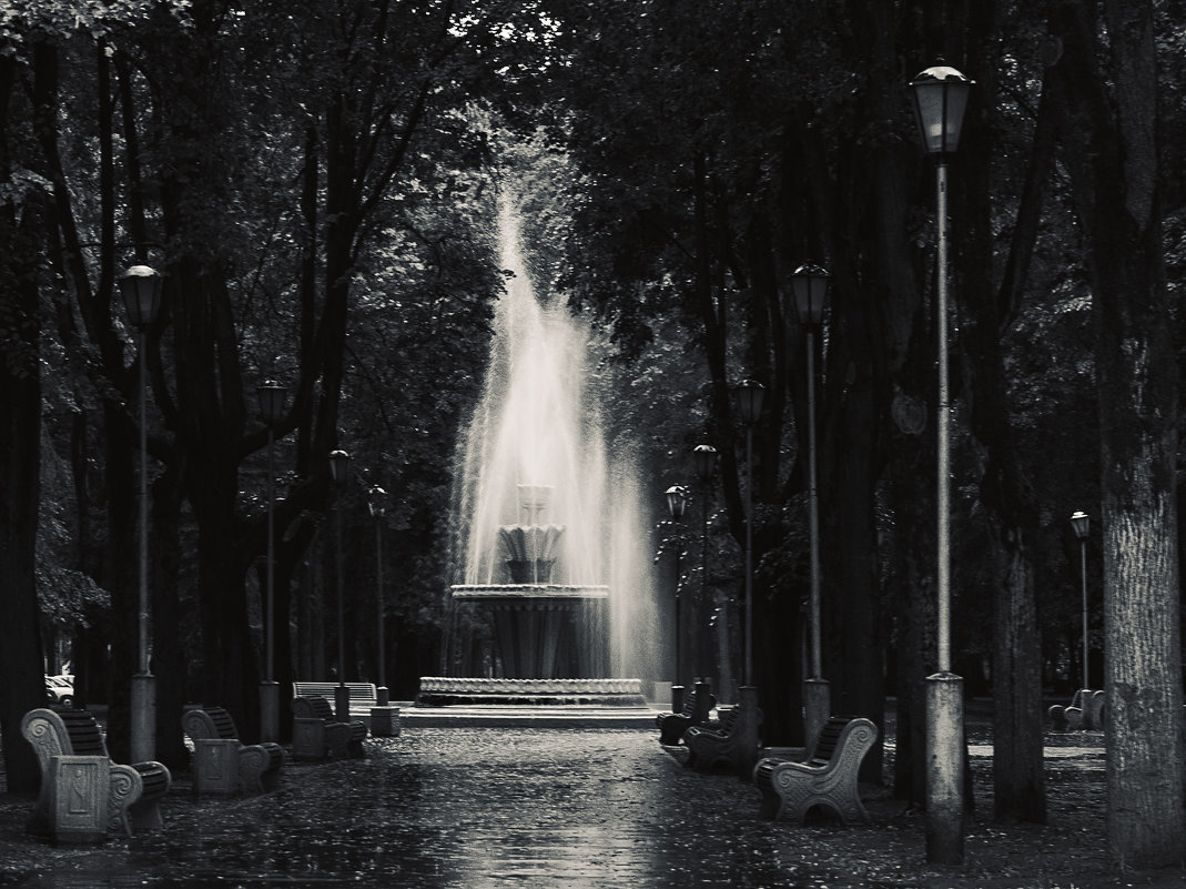 Дождливый вечер в летнем парке - Елизавета Вавилова