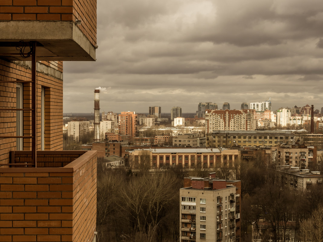 С высоты 19-го этажа - Максим Никитенков