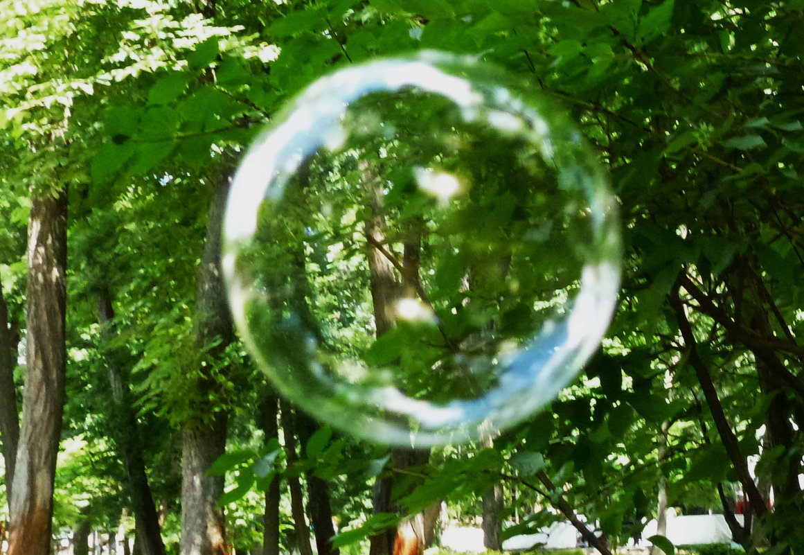 Мир сквозь мыльный пузырь - Наталья Петракова
