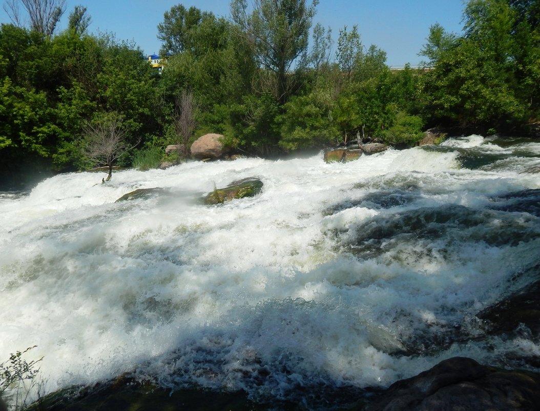 Горная река - Дарья Неживая
