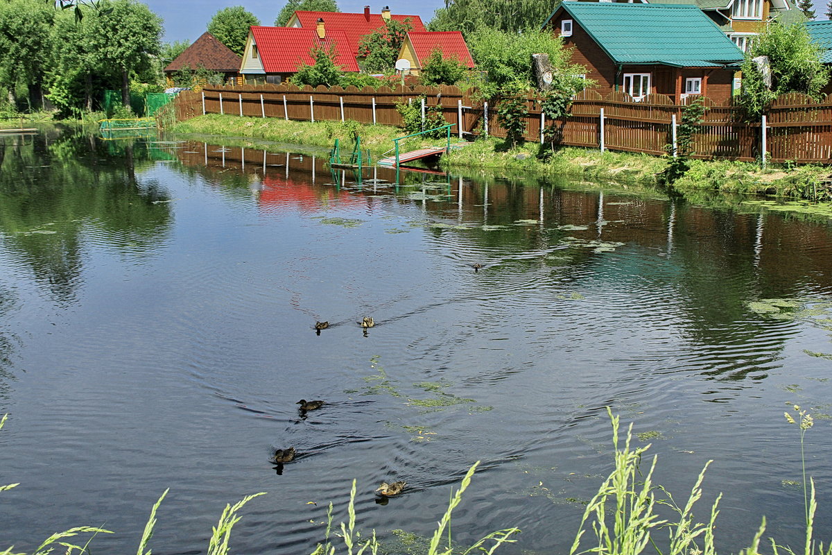 Современная Деревня Фото