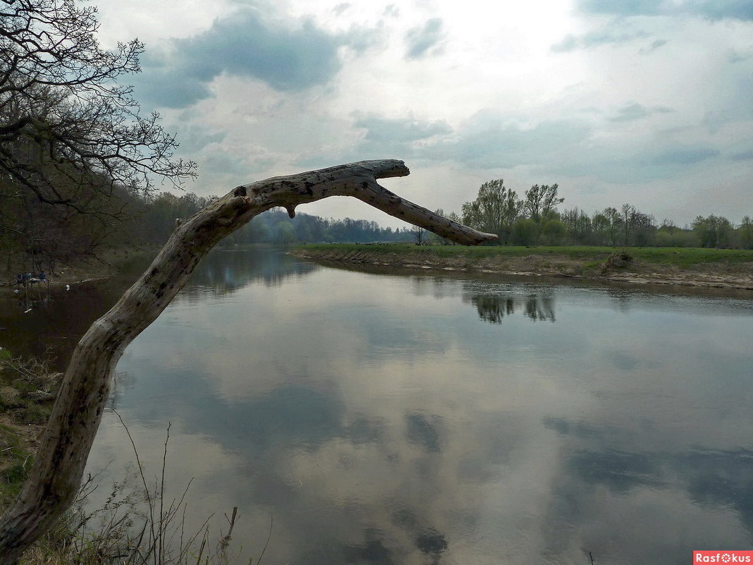 река лава калининградская область