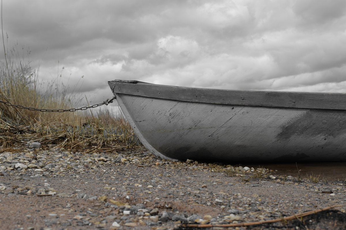 Лодка у берега - Рита Захарова