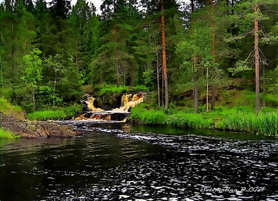 . - Ольга Cоломатина