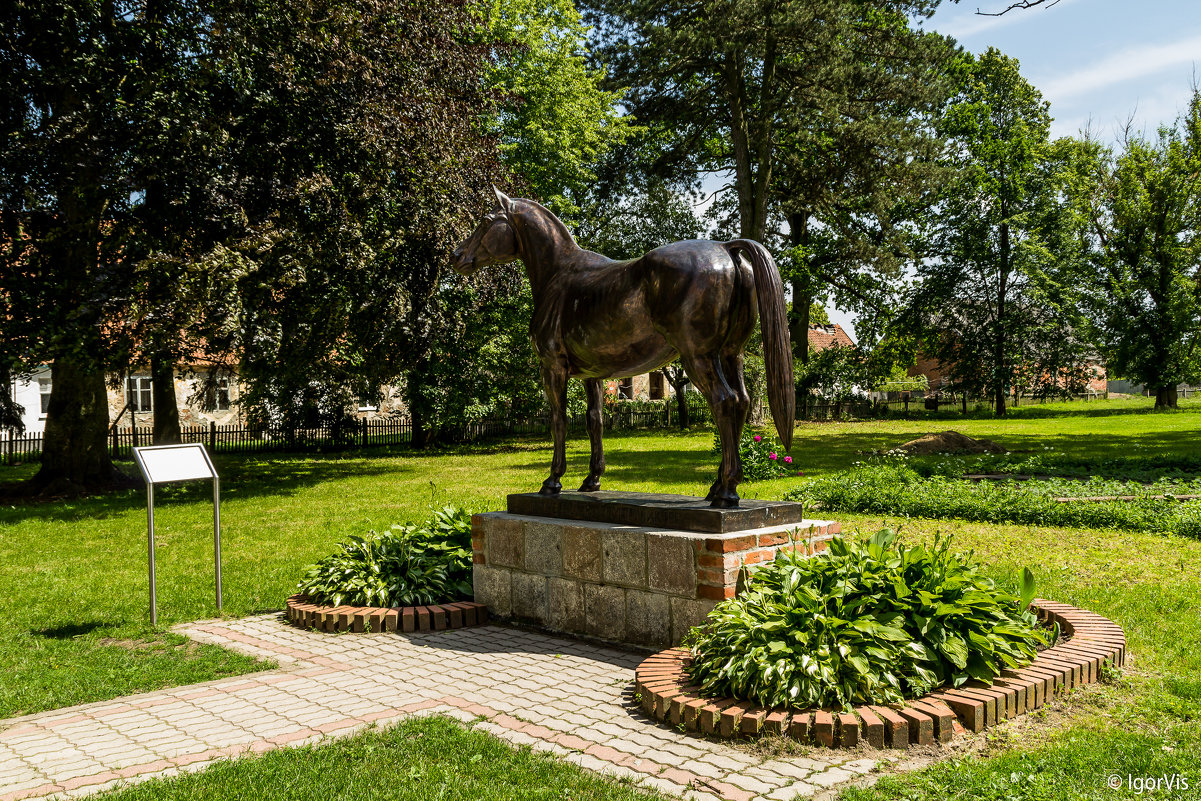 Памятник лошади тракененской породы - Игорь Вишняков