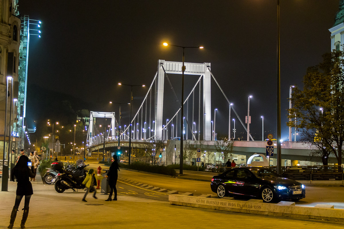 Мост за Дунай - Павел Солопов
