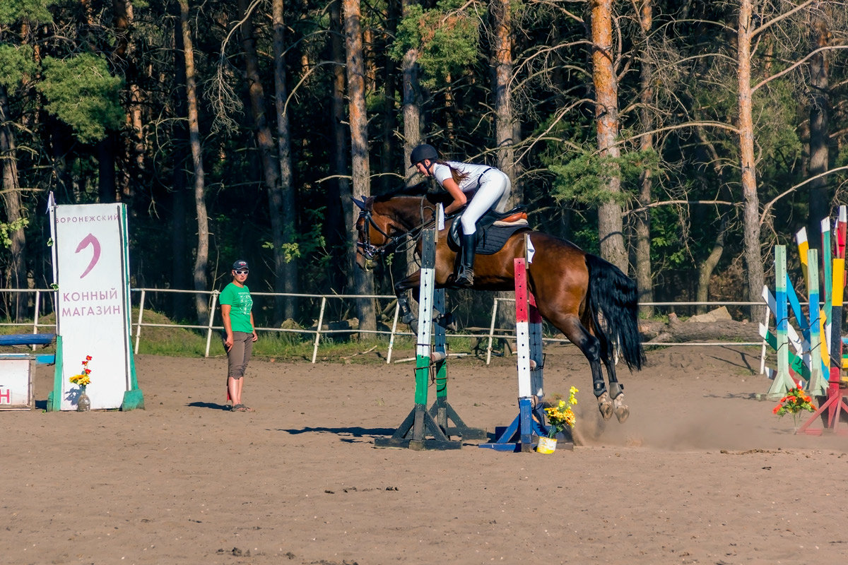 Пружок.. - Юрий Стародубцев