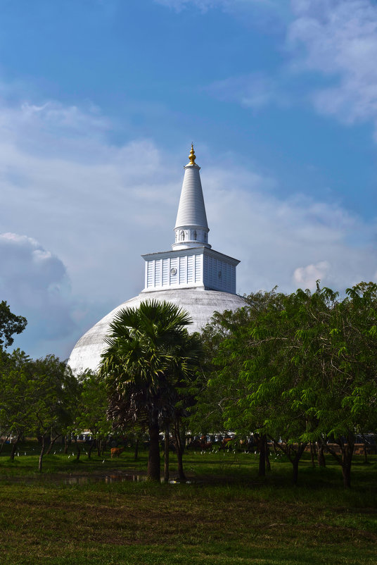 Анурадхапура. Цейлон. Ступа (Дагоба) Руанвели. Anuradhapura. Ceylon. Stupa (Dagoba) Ruanveli. - Юрий Воронов