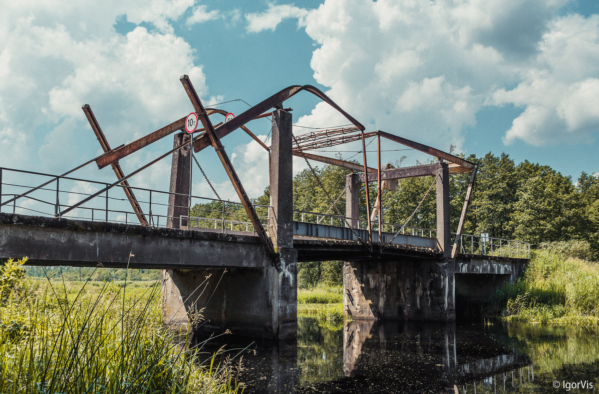 Разводной мост в краю болот и лесов - Игорь Вишняков