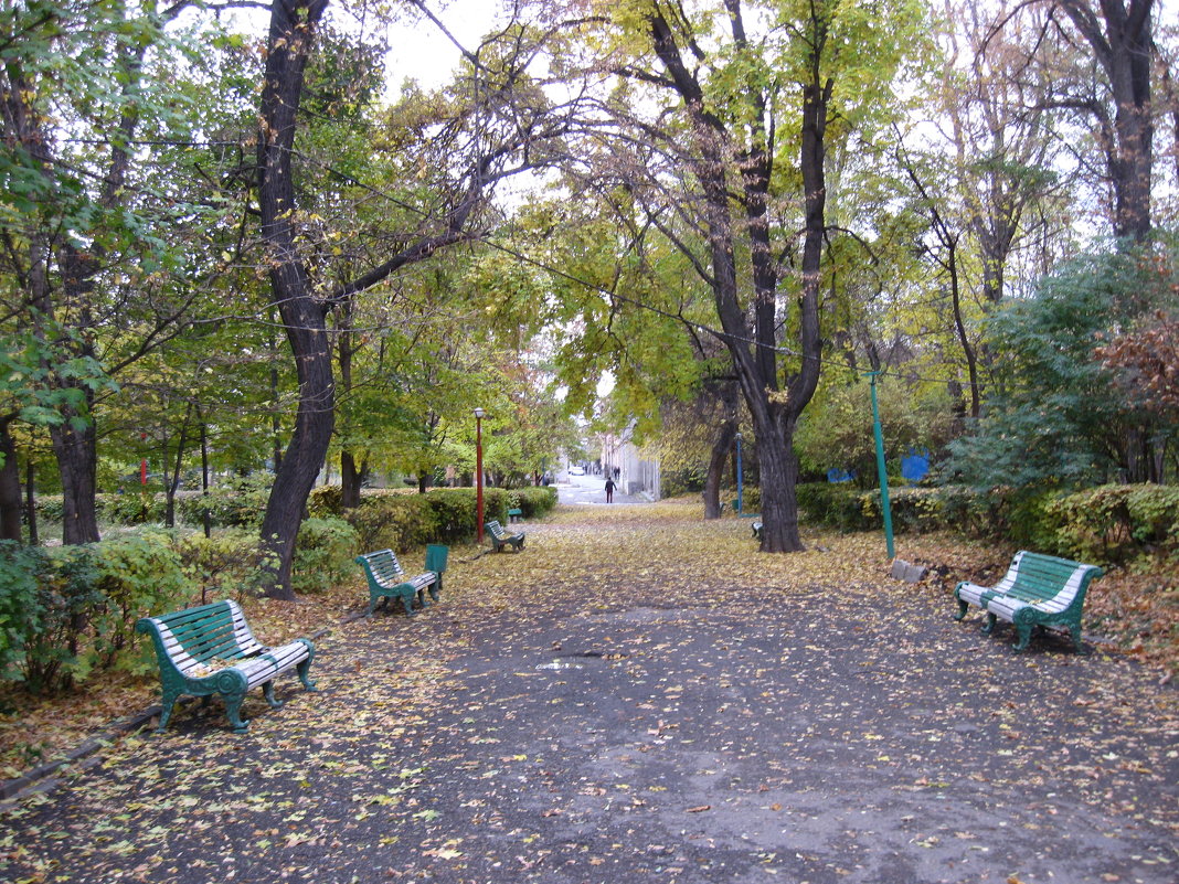 Городской парк - Volodya Grigoryan