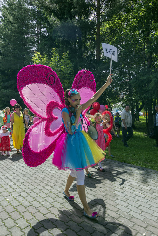 Парад бабочек - Евгений Голубев