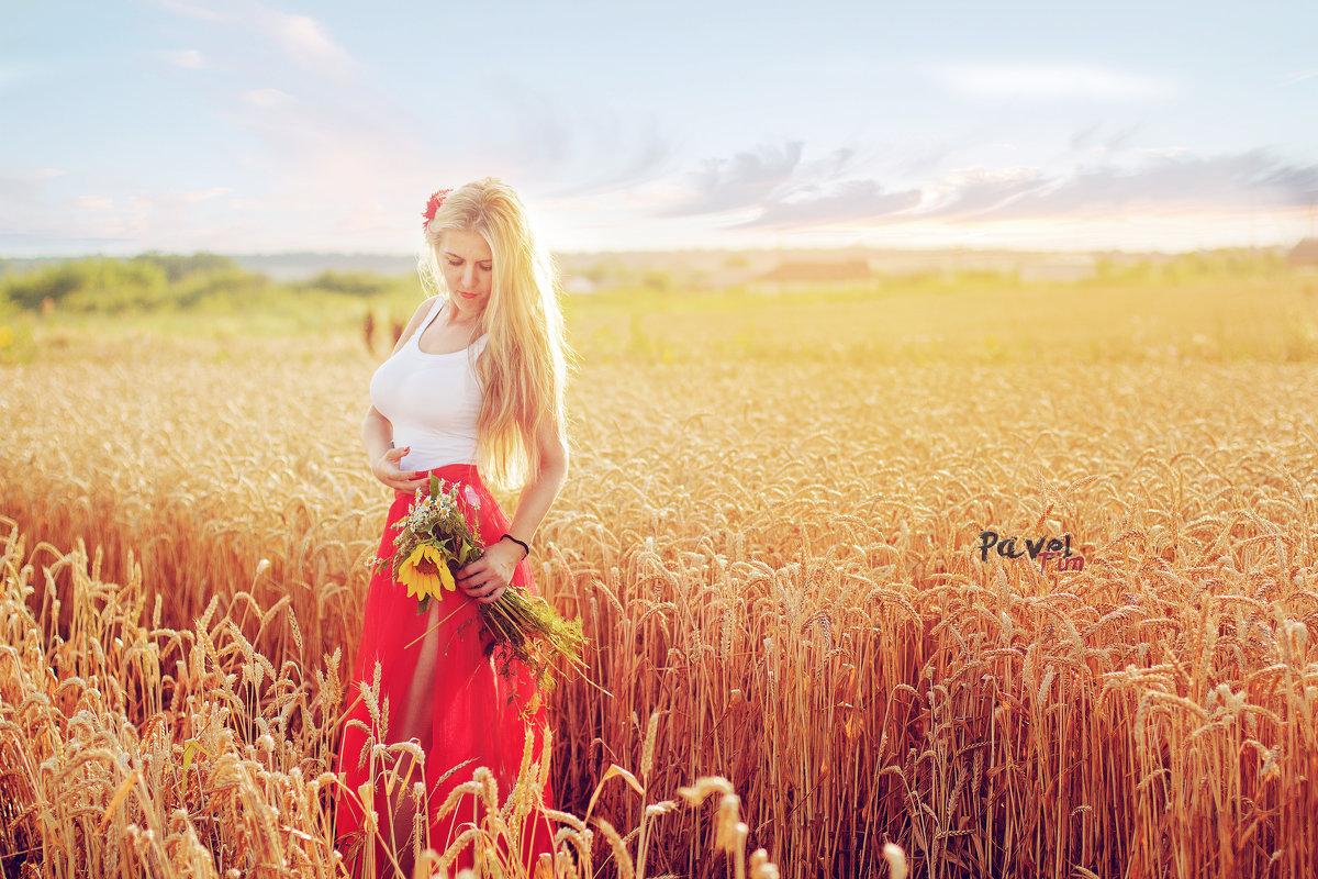 фотосессия в пшенице - Павел Тимофеев