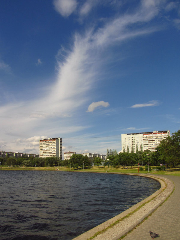 Сегодня ветрено - Андрей Лукьянов