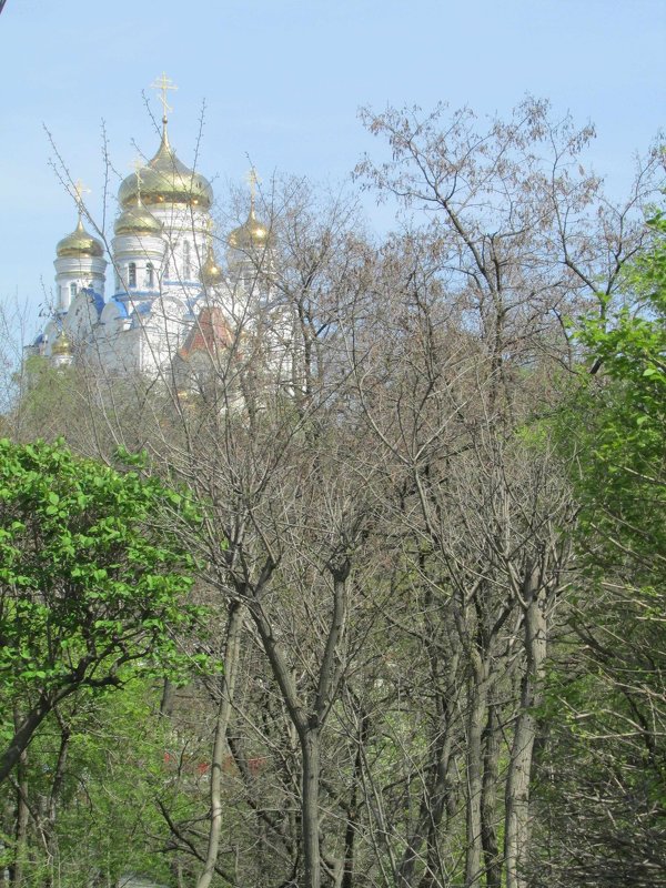 Собор казанской иконы божьей матери г. Находка - Дмитрий Игнатычев