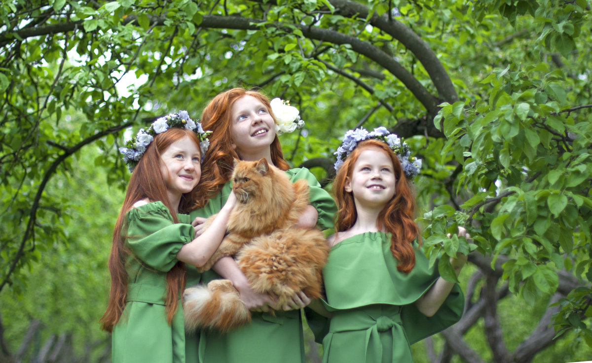 Трио рыжих девочек с потрясающим котиком - Ира Никина