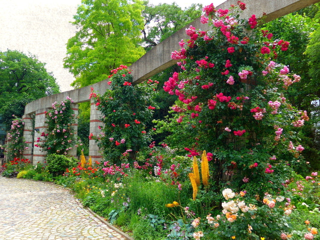 Hamburg. Planten un Blomen - Nina Yudicheva