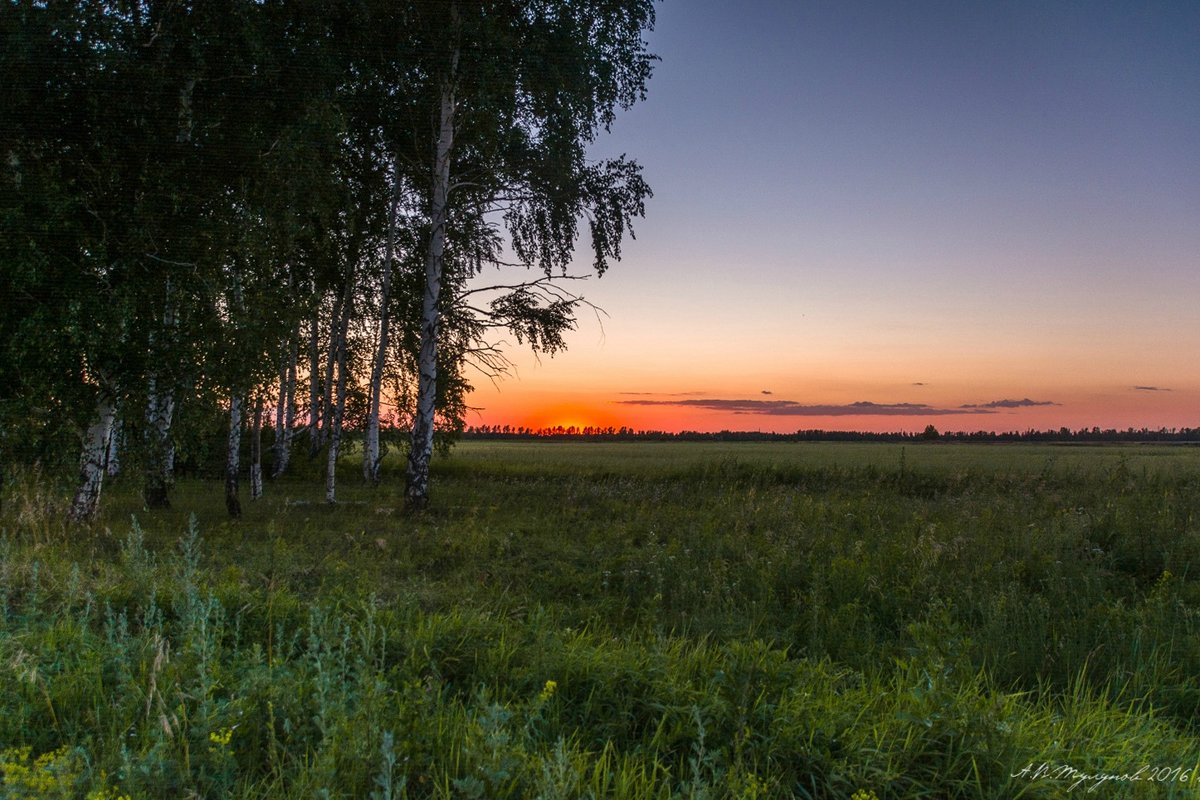 * - Александр Тулупов