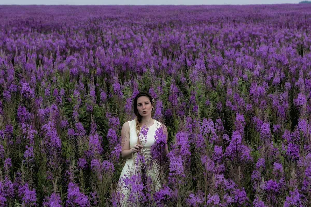 in a field of flowers - Dmitry Ozersky