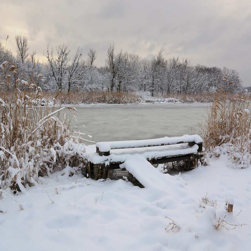 Snow-covered Bench - Roman 