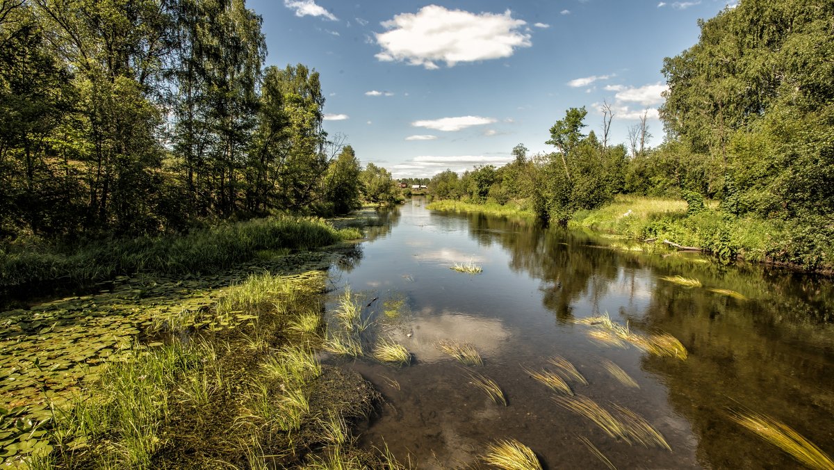 Summer on the river - Dmitry Ozersky