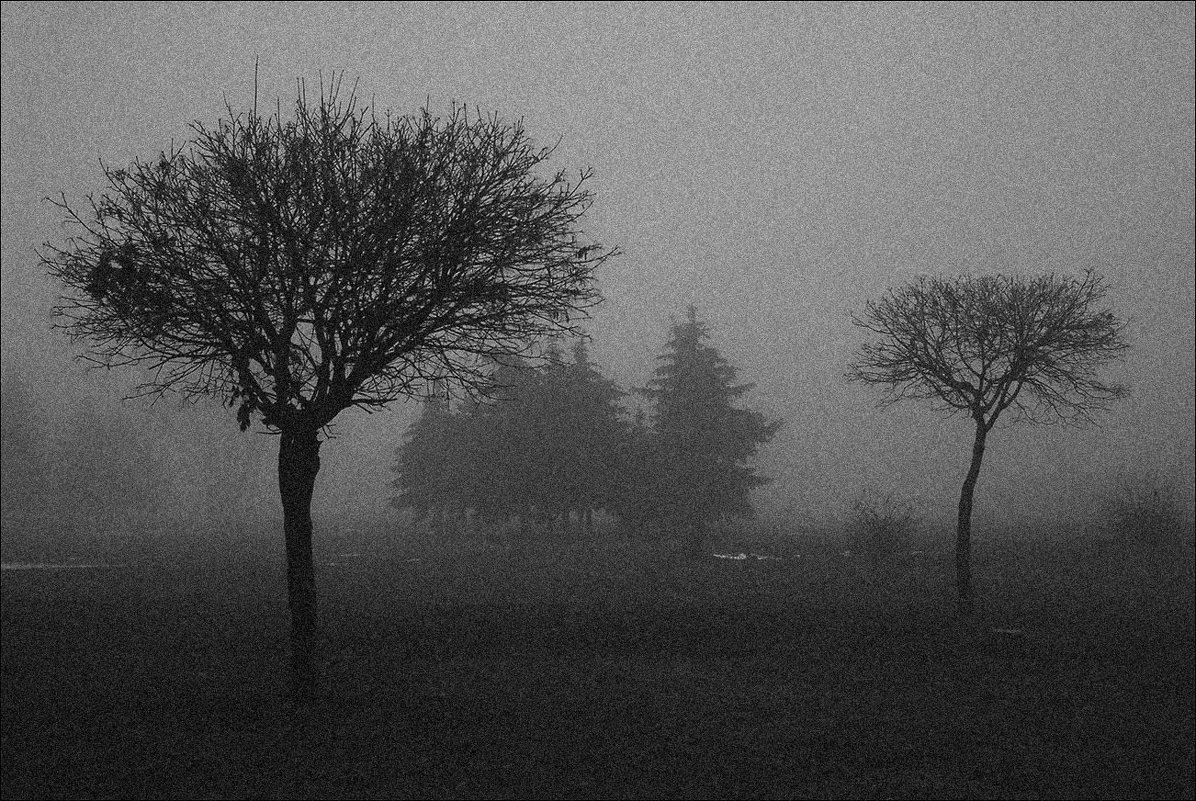Парковый туман - Юрий Васильев