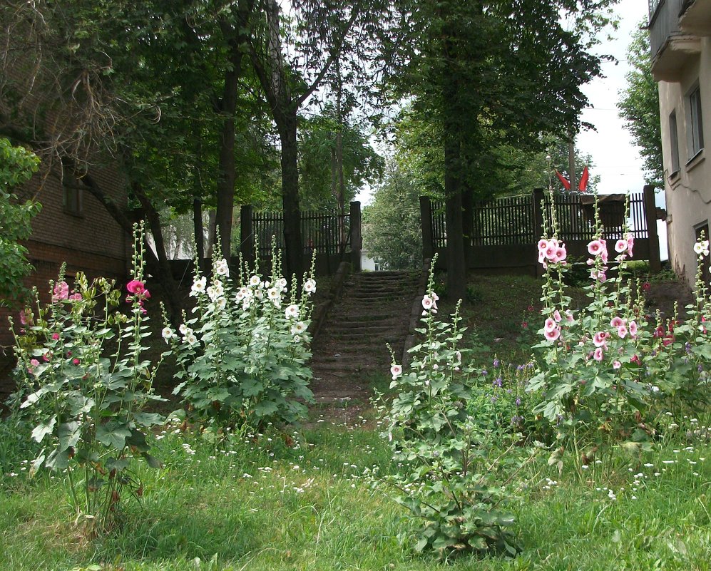 Старый дворик - Галина Бобкина