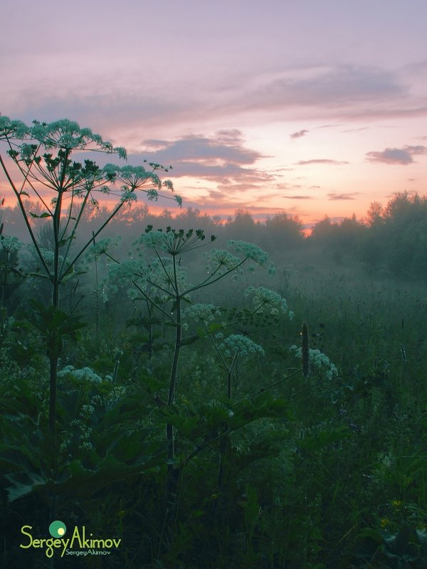 Вечер в лесу - Сергей Акимов