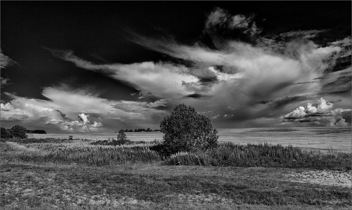 Небо - как будто летящий мрамор...© - Александр Никитинский