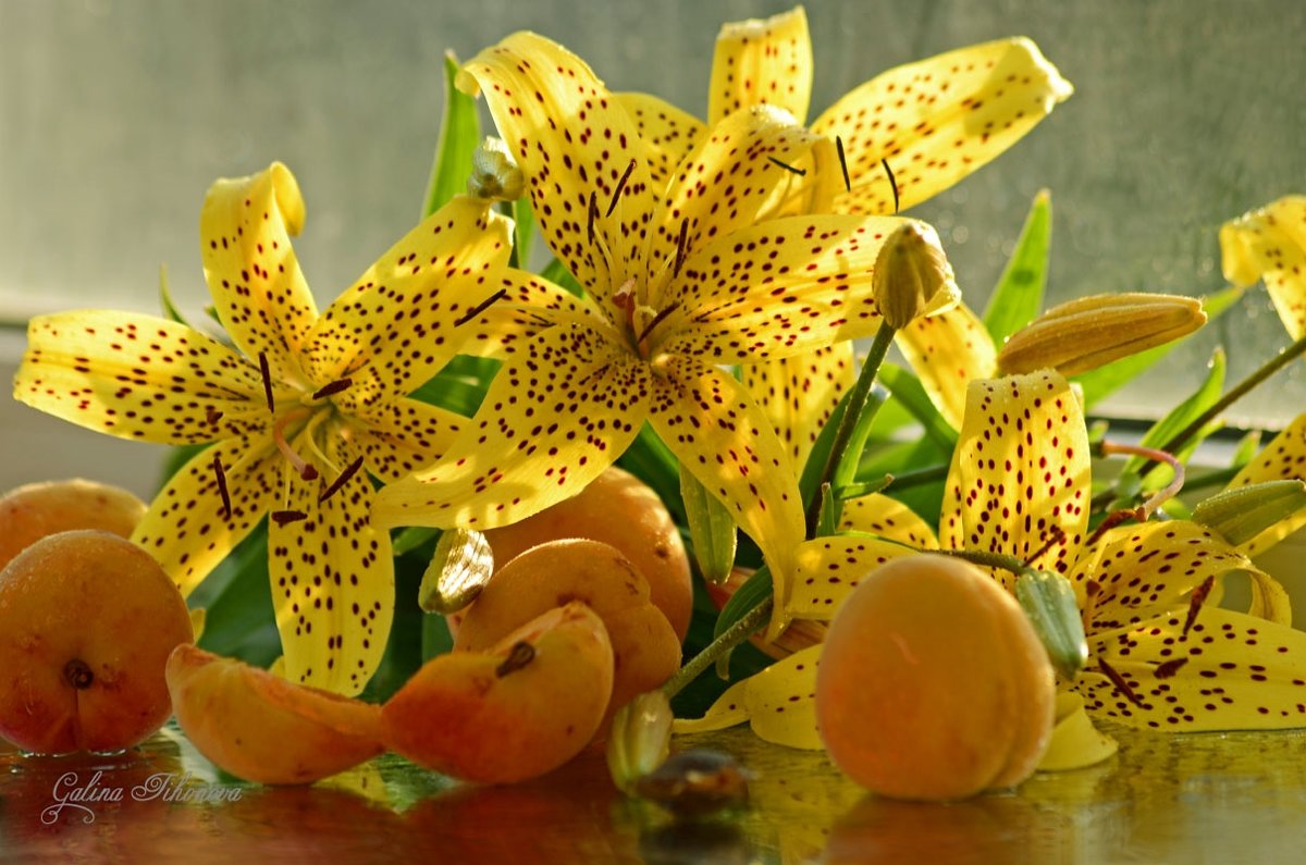 Жёлтые лилии и абрикосы - galina tihonova