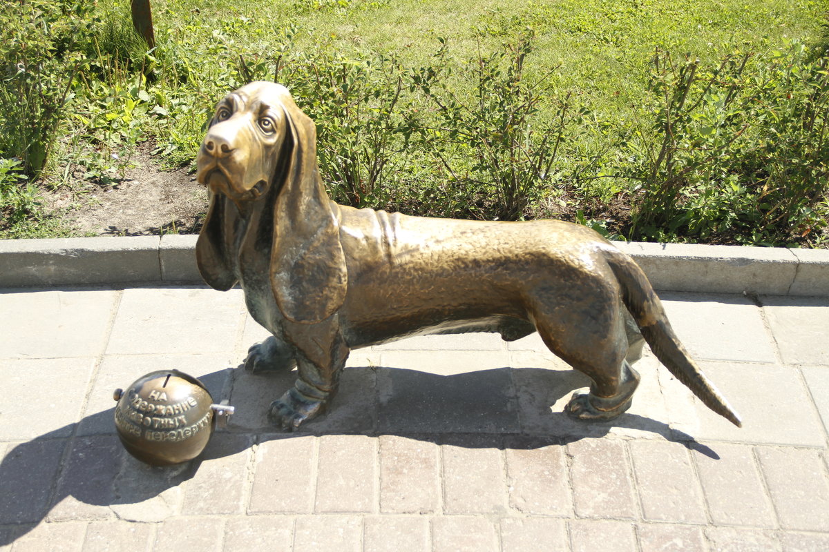 Памятник собаке в центре Костромы - esadesign Егерев