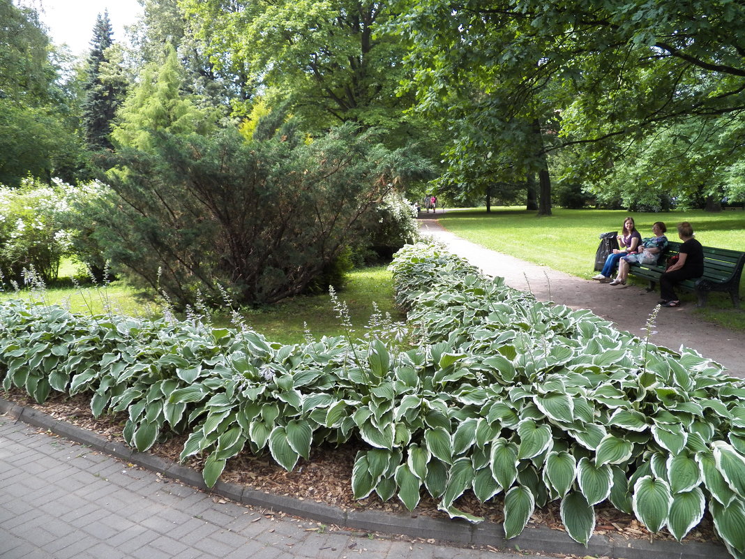 Ботанический сад - Виктор Елисеев
