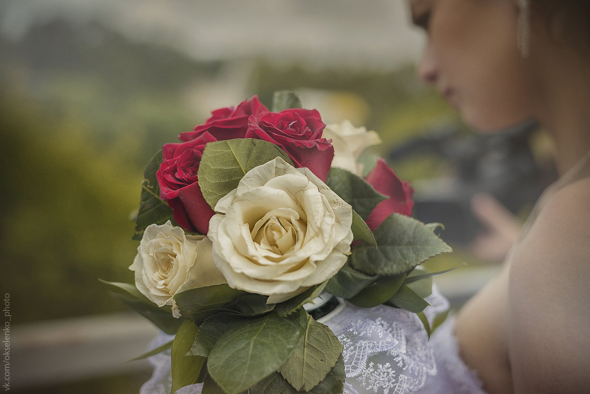 Роза невеста фото