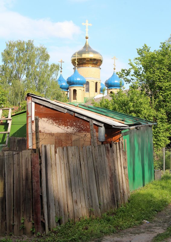 На контрасте - Людмила Жданова