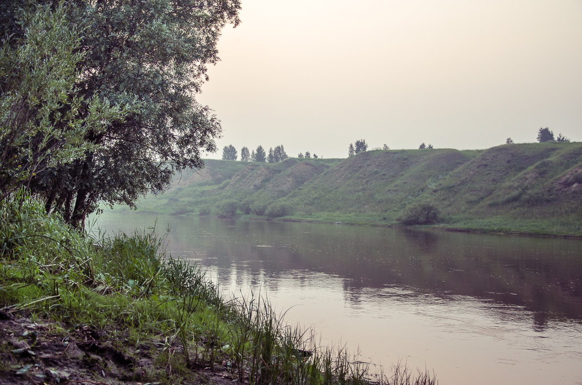 Река Омь - andrey 